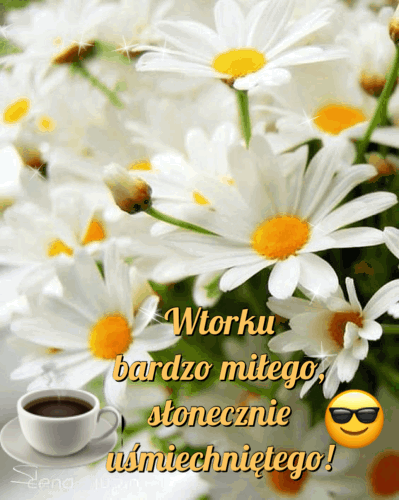 Wtorku bardzo miłego i słonecznie uśmiechniętego